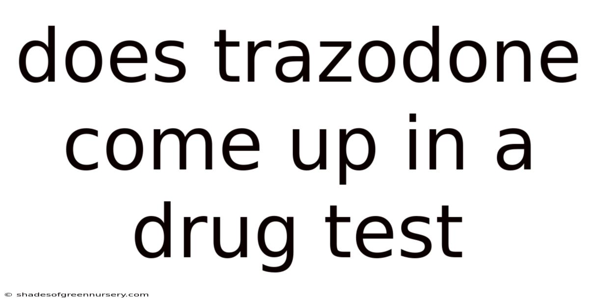 Does Trazodone Come Up In A Drug Test