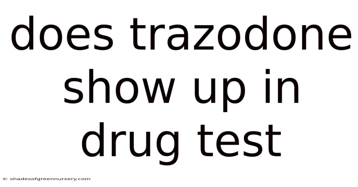 Does Trazodone Show Up In Drug Test