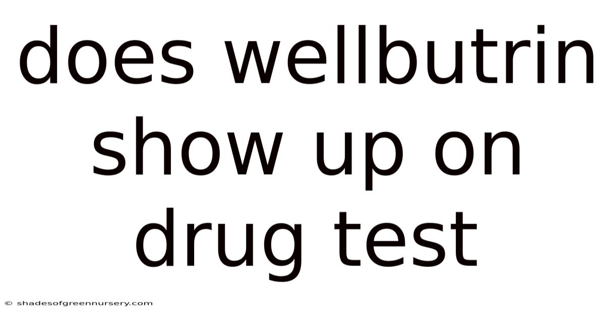Does Wellbutrin Show Up On Drug Test