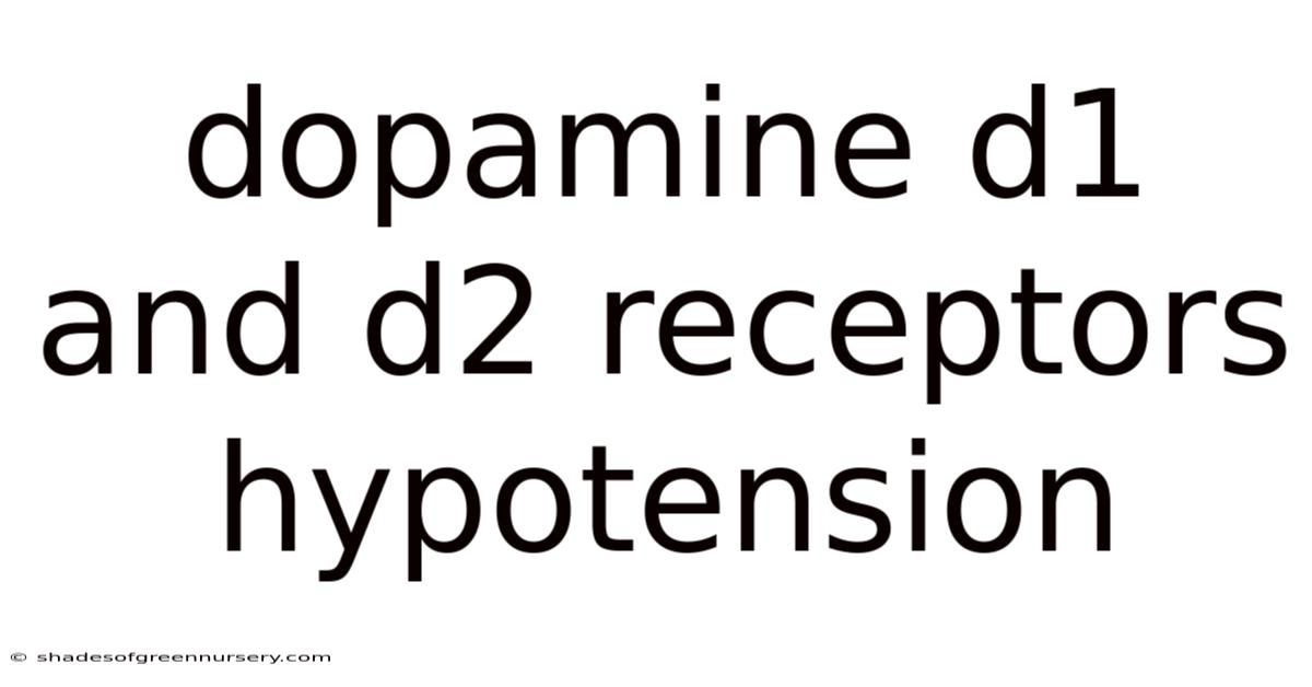 Dopamine D1 And D2 Receptors Hypotension