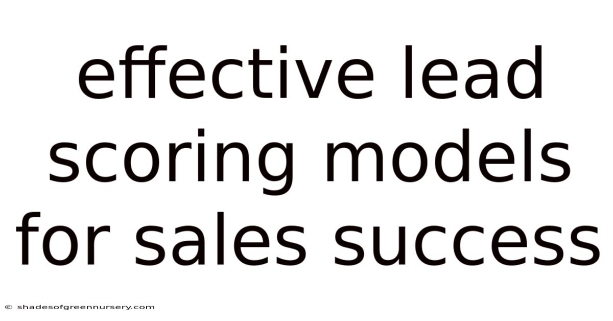 Effective Lead Scoring Models For Sales Success