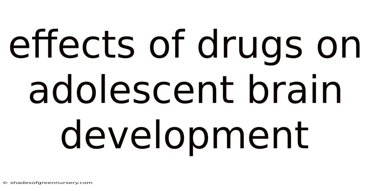 Effects Of Drugs On Adolescent Brain Development