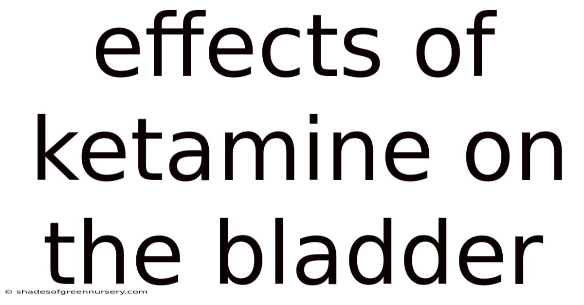 Effects Of Ketamine On The Bladder