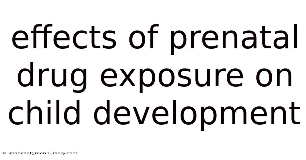 Effects Of Prenatal Drug Exposure On Child Development