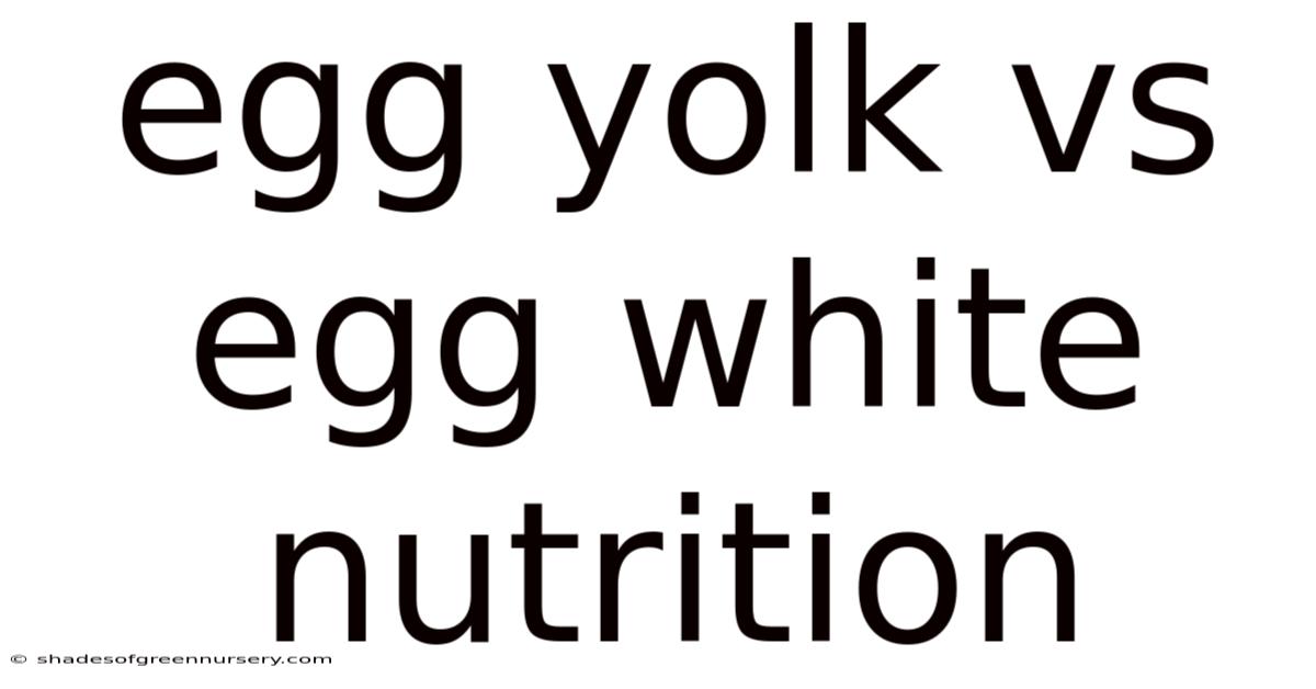 Egg Yolk Vs Egg White Nutrition