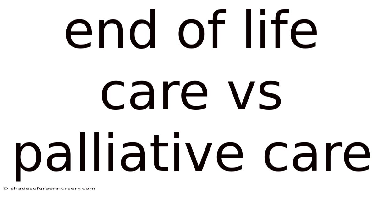 End Of Life Care Vs Palliative Care