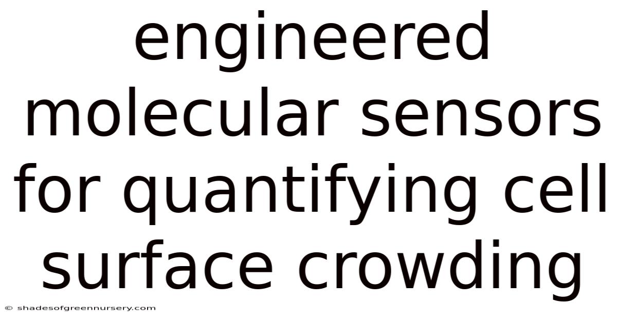 Engineered Molecular Sensors For Quantifying Cell Surface Crowding