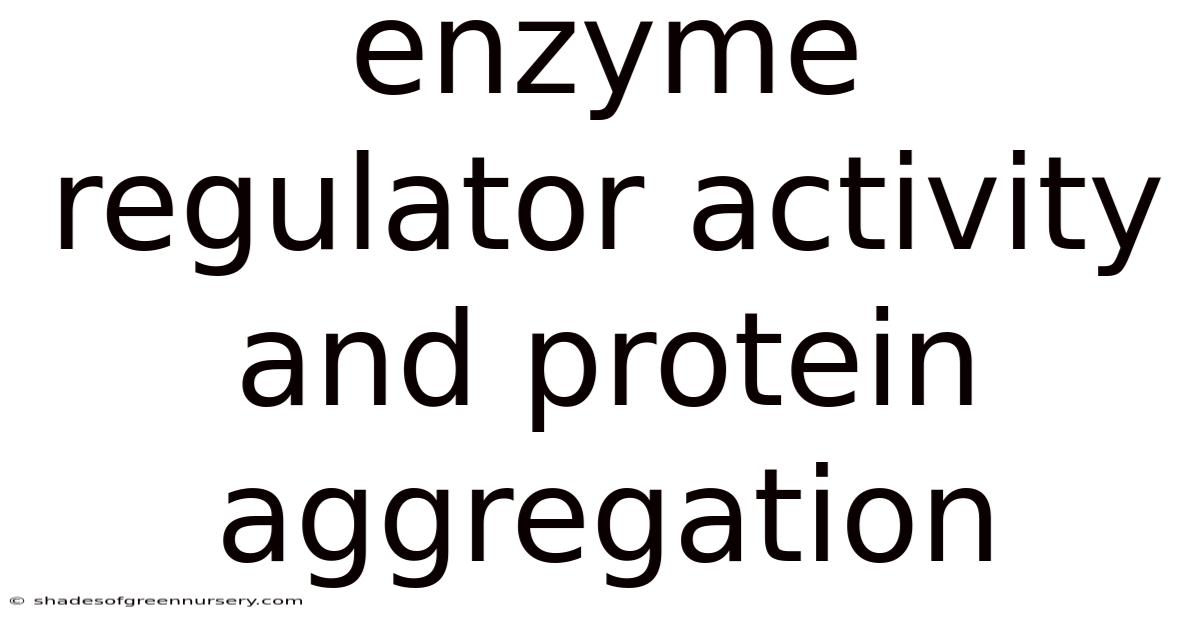 Enzyme Regulator Activity And Protein Aggregation