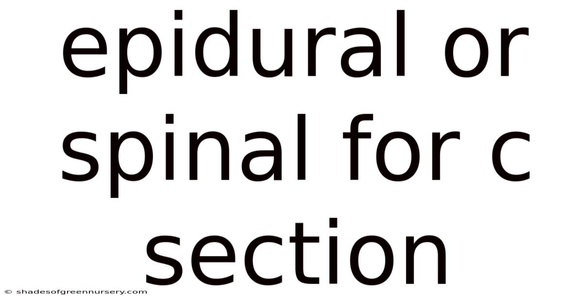 Epidural Or Spinal For C Section