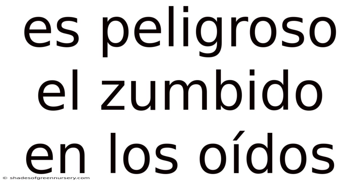 Es Peligroso El Zumbido En Los Oídos