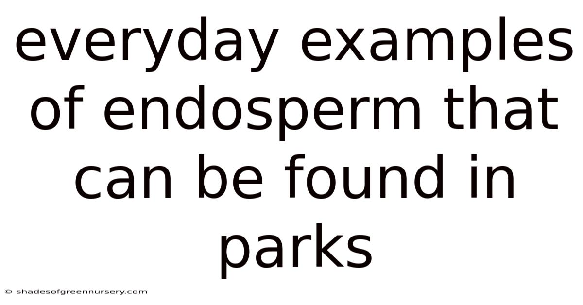 Everyday Examples Of Endosperm That Can Be Found In Parks
