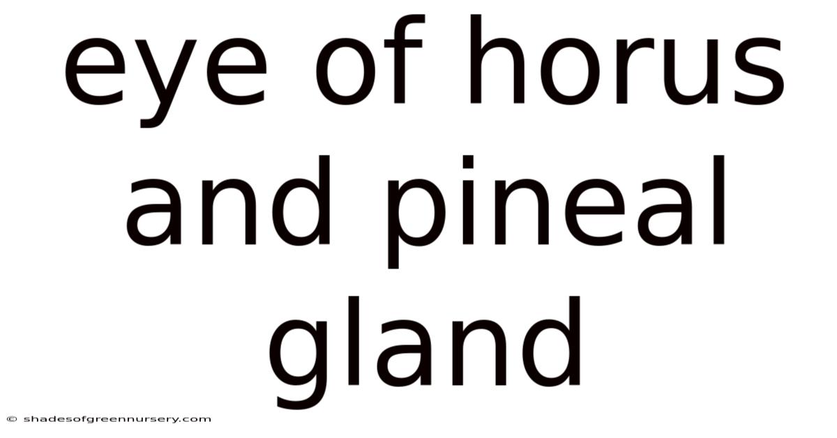 Eye Of Horus And Pineal Gland