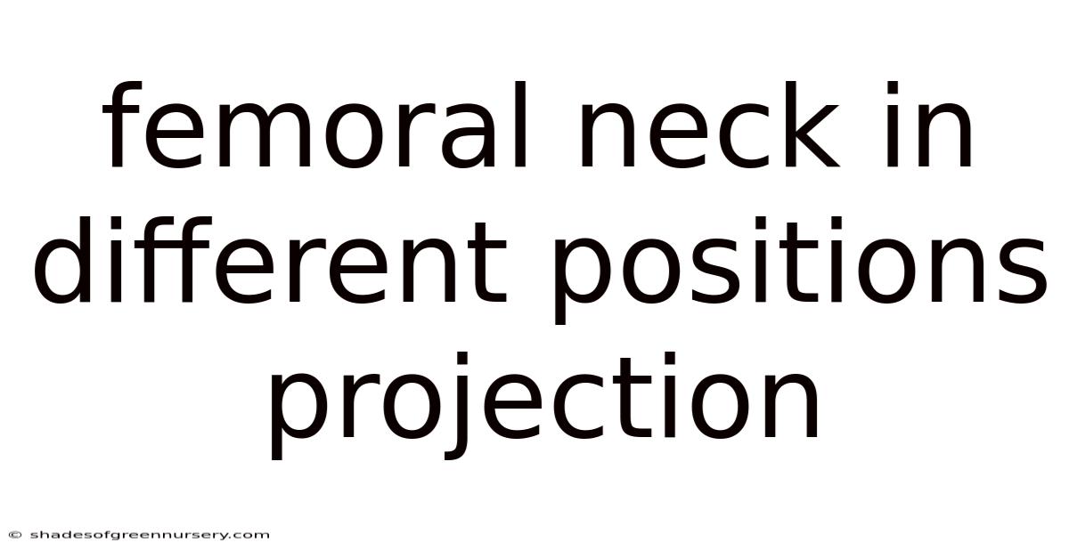 Femoral Neck In Different Positions Projection
