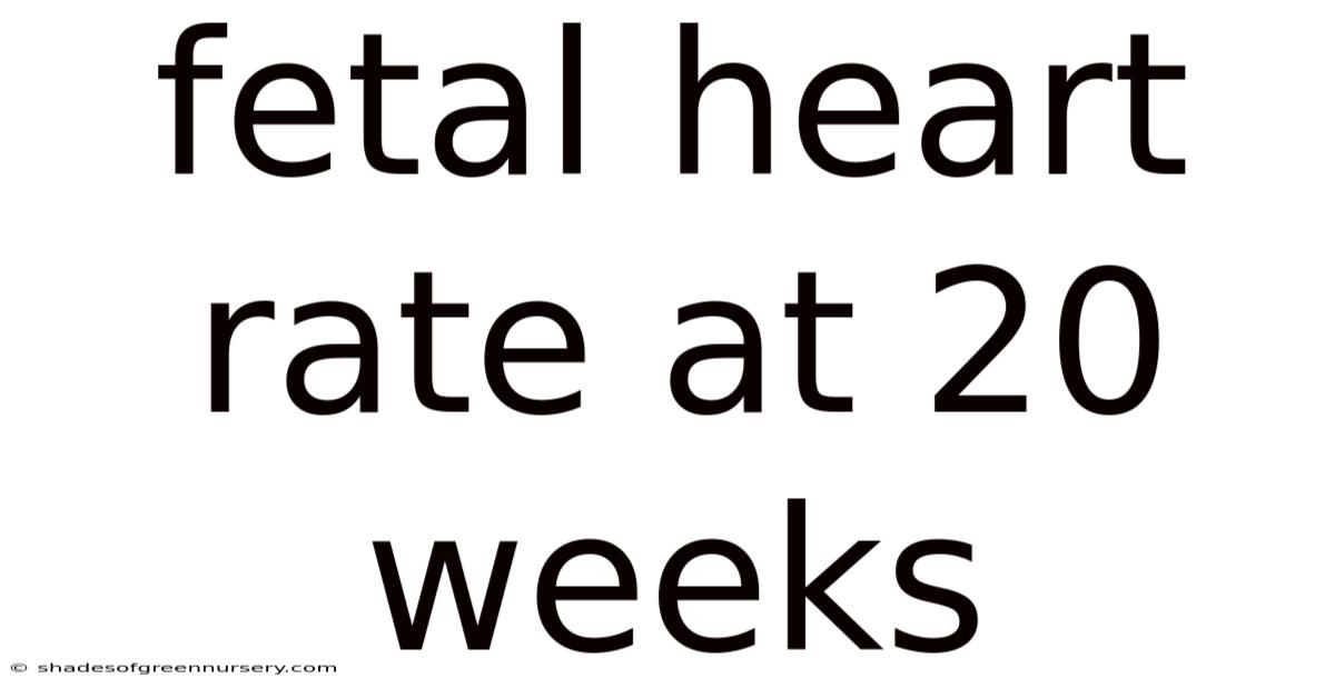 Fetal Heart Rate At 20 Weeks