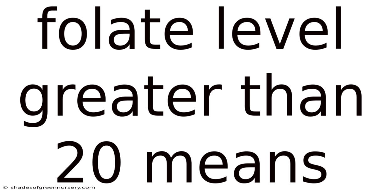 Folate Level Greater Than 20 Means