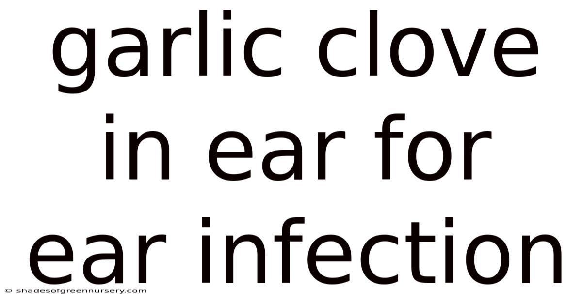Garlic Clove In Ear For Ear Infection