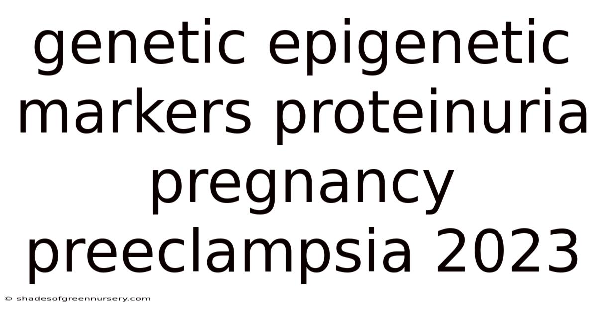 Genetic Epigenetic Markers Proteinuria Pregnancy Preeclampsia 2023