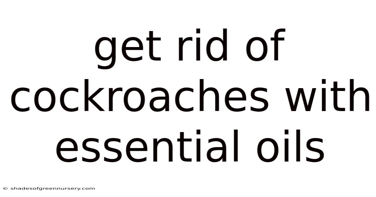 Get Rid Of Cockroaches With Essential Oils