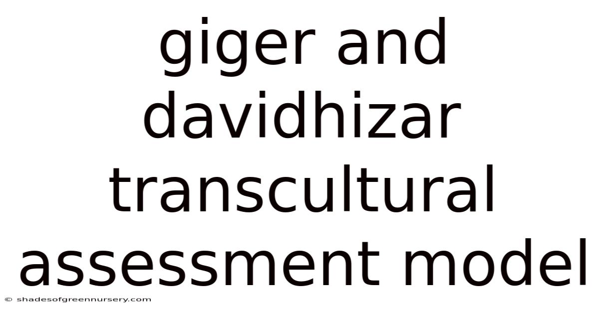 Giger And Davidhizar Transcultural Assessment Model