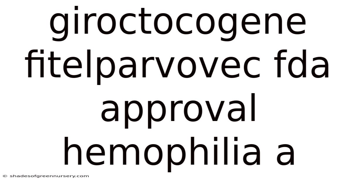 Giroctocogene Fitelparvovec Fda Approval Hemophilia A