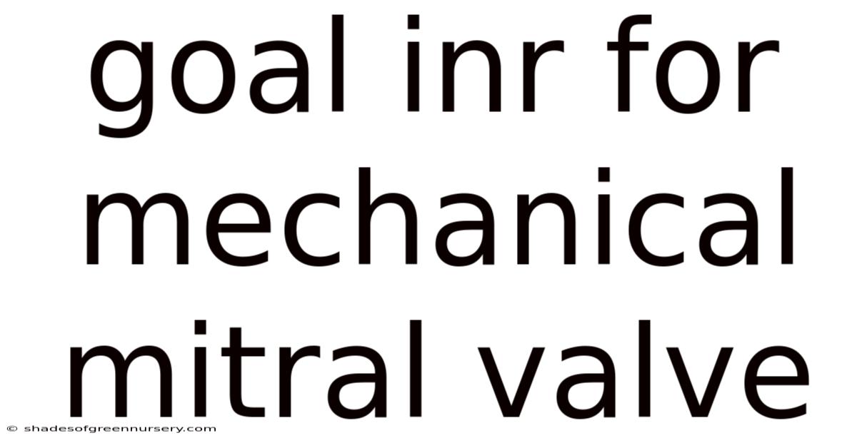 Goal Inr For Mechanical Mitral Valve