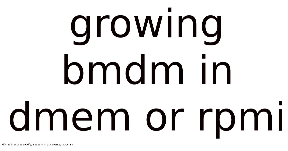 Growing Bmdm In Dmem Or Rpmi