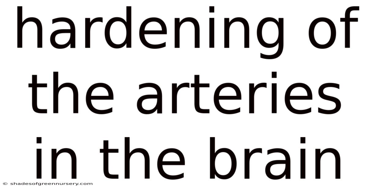 Hardening Of The Arteries In The Brain