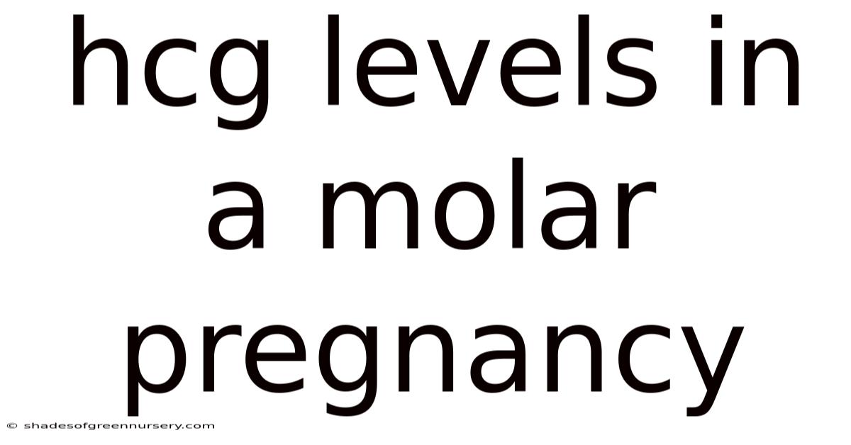 Hcg Levels In A Molar Pregnancy
