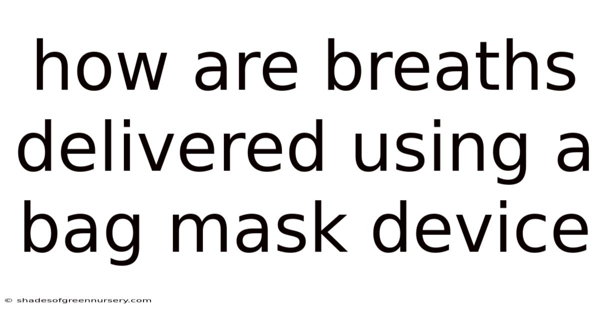 How Are Breaths Delivered Using A Bag Mask Device