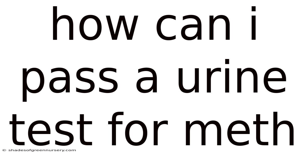 How Can I Pass A Urine Test For Meth