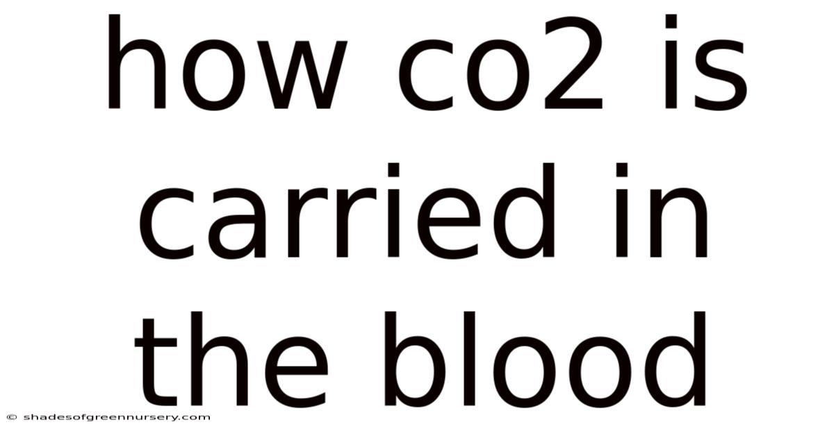 How Co2 Is Carried In The Blood
