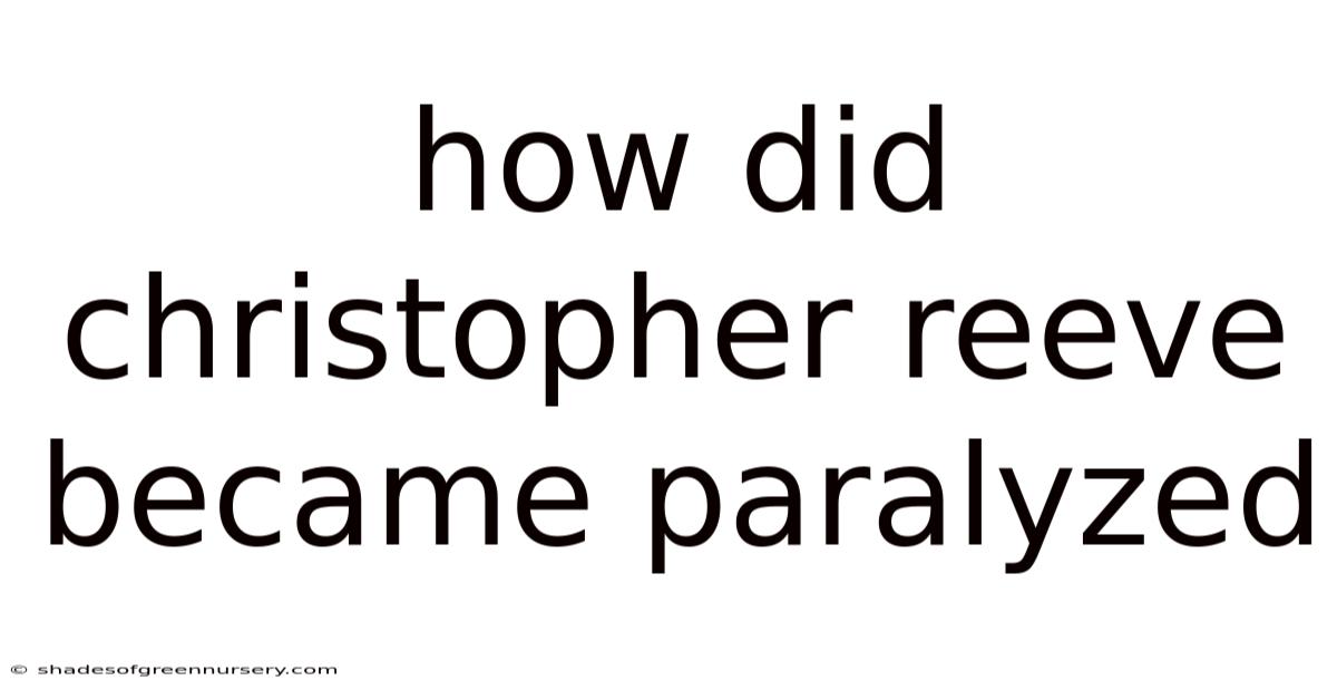 How Did Christopher Reeve Became Paralyzed