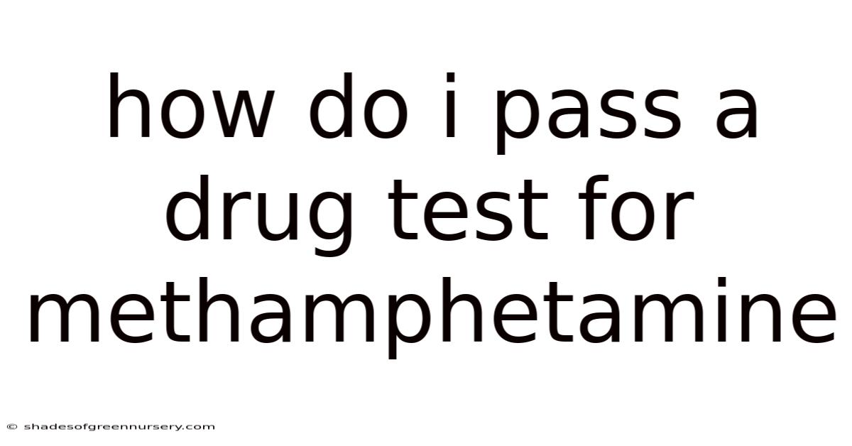 How Do I Pass A Drug Test For Methamphetamine