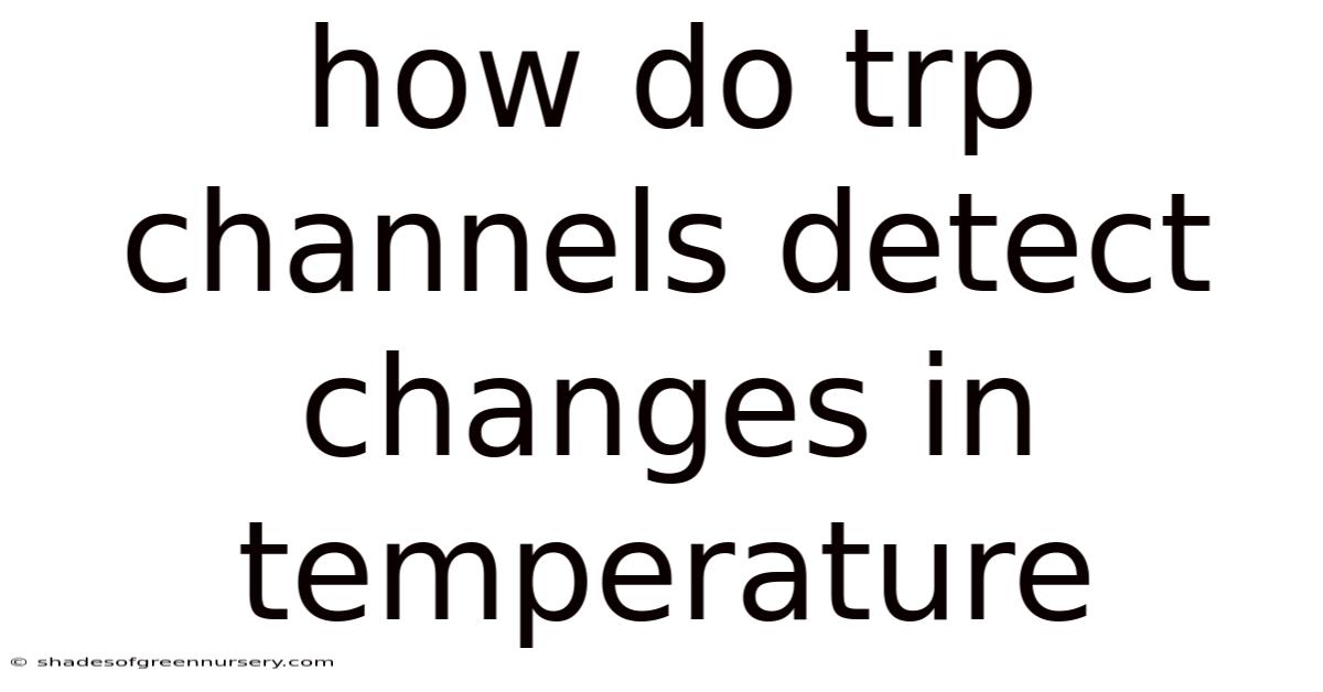 How Do Trp Channels Detect Changes In Temperature