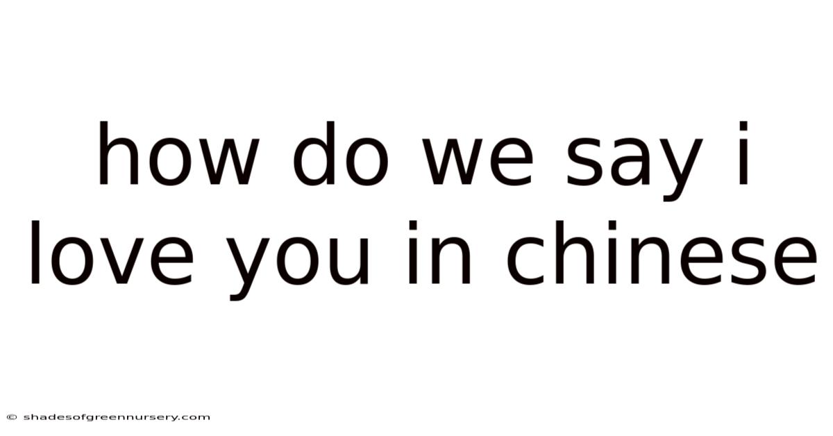 How Do We Say I Love You In Chinese