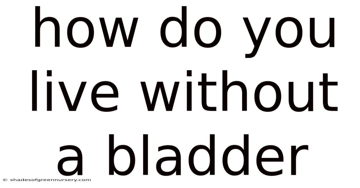 How Do You Live Without A Bladder