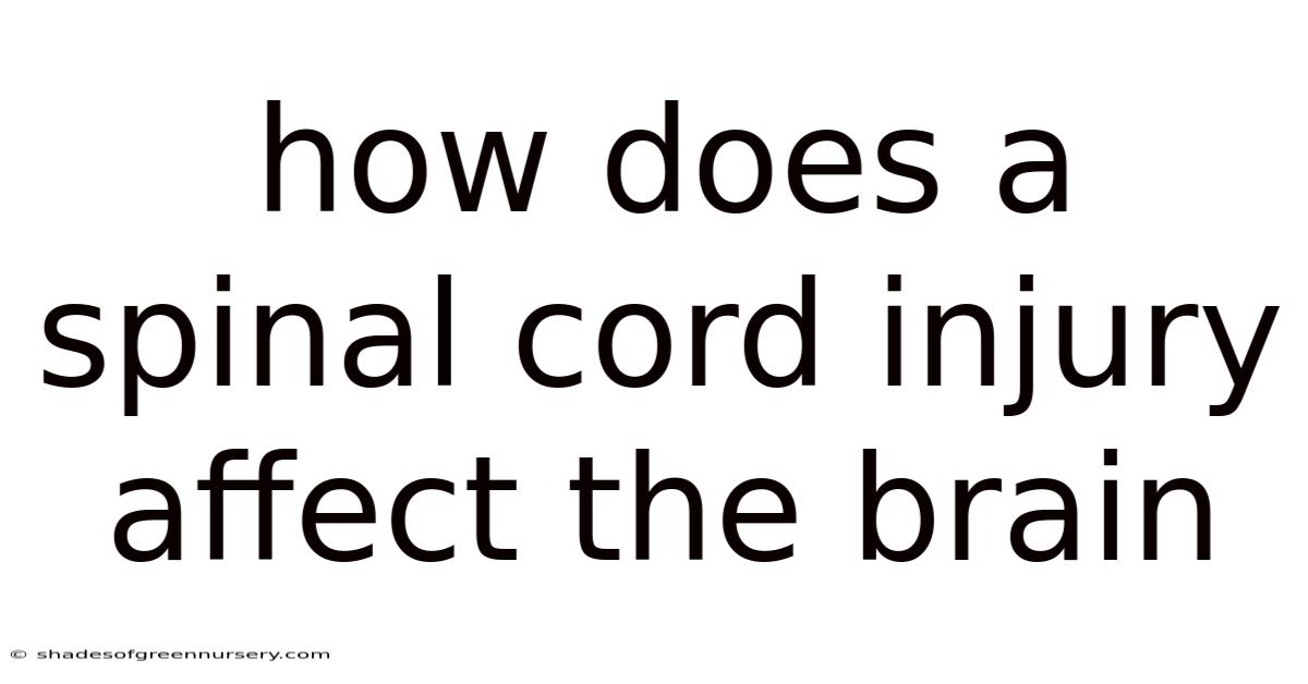 How Does A Spinal Cord Injury Affect The Brain