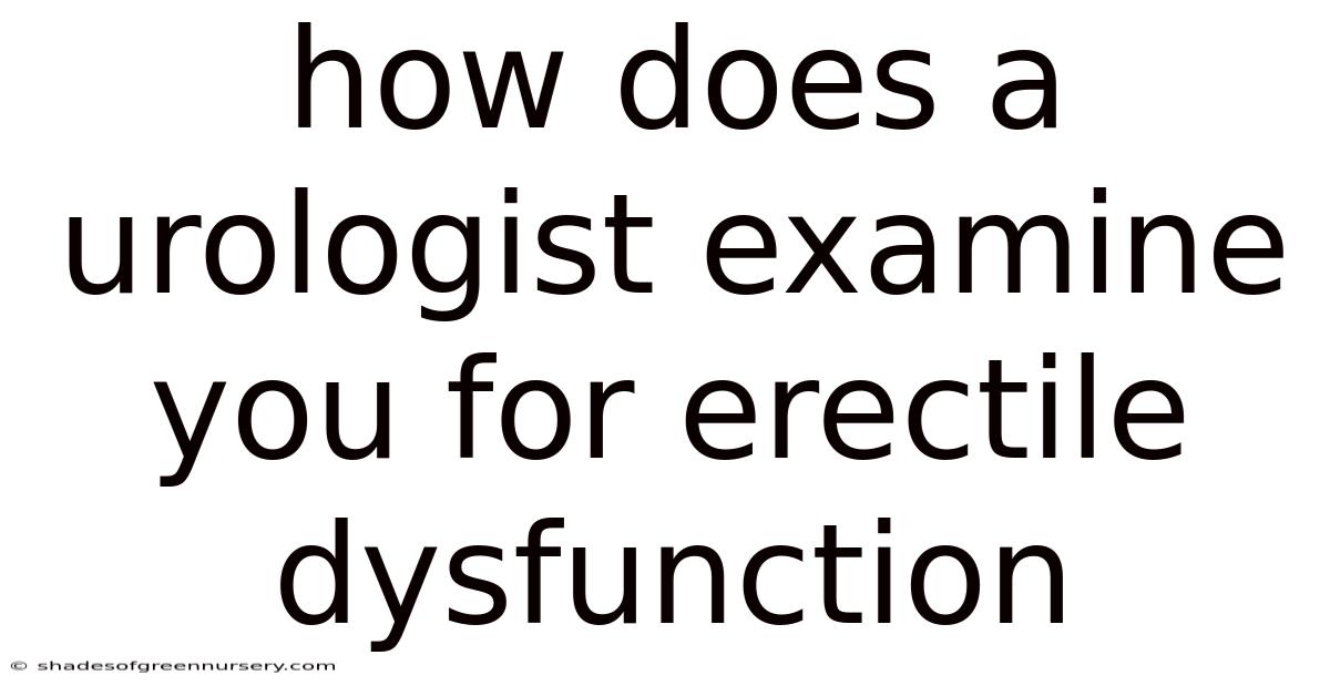 How Does A Urologist Examine You For Erectile Dysfunction