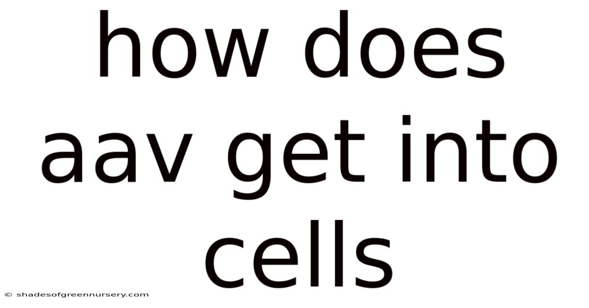 How Does Aav Get Into Cells