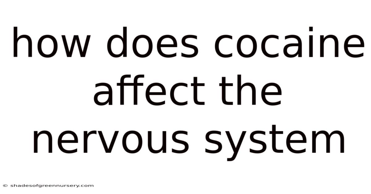How Does Cocaine Affect The Nervous System