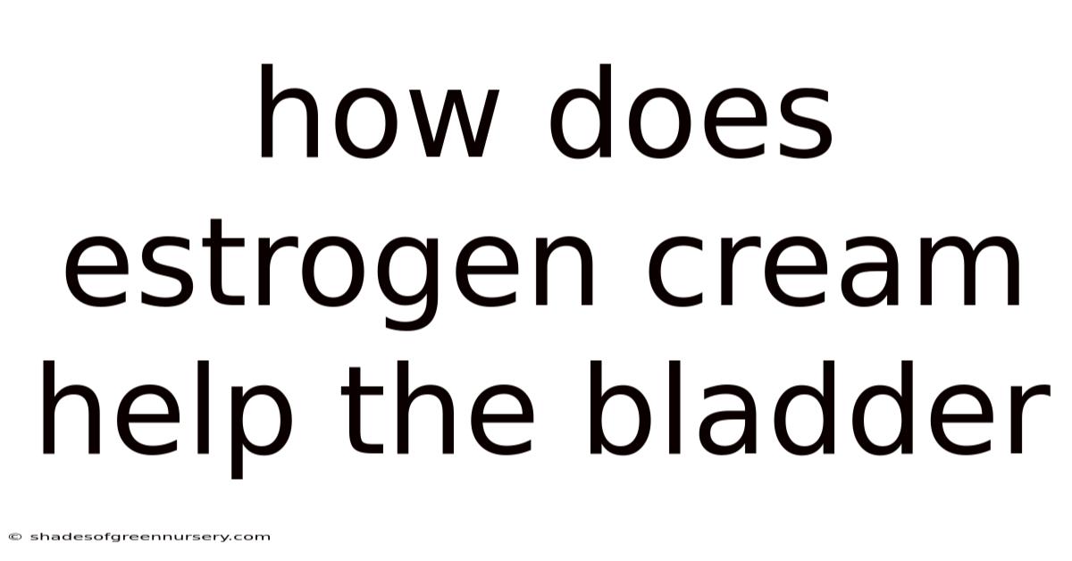 How Does Estrogen Cream Help The Bladder
