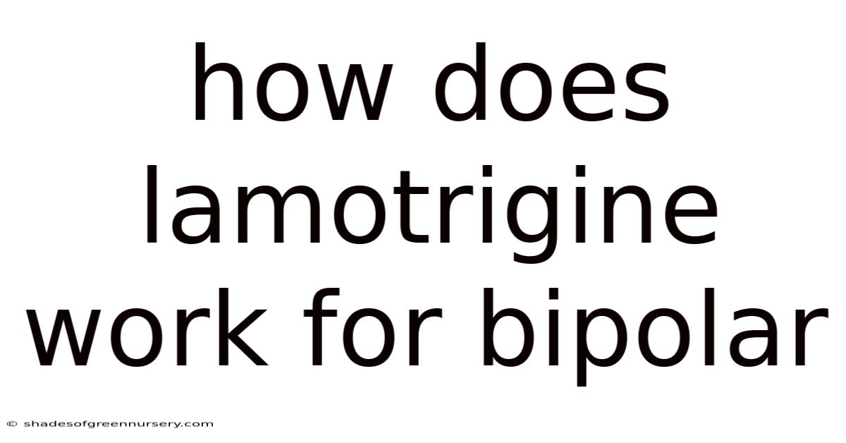 How Does Lamotrigine Work For Bipolar