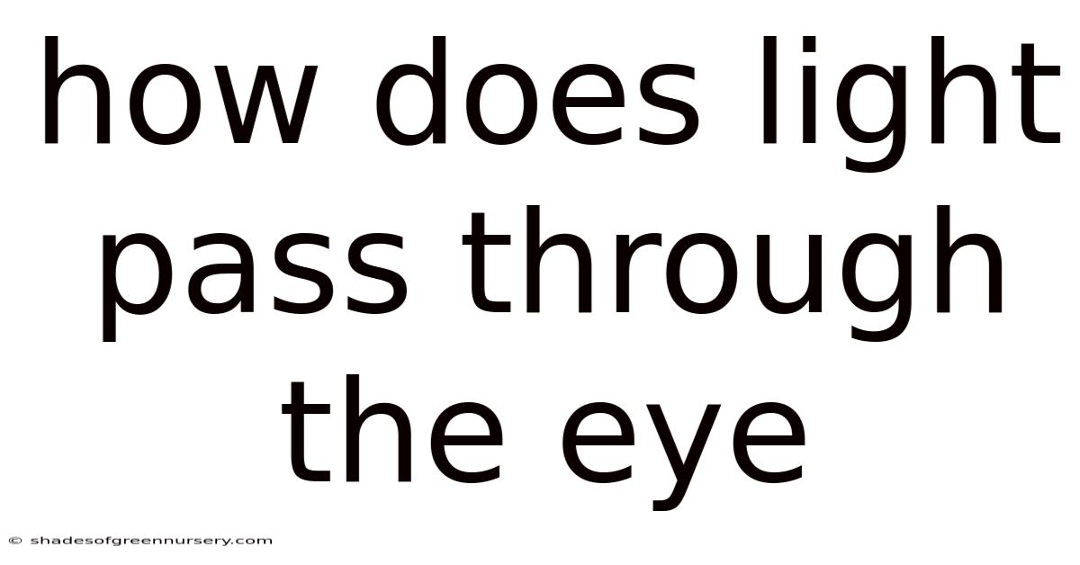 How Does Light Pass Through The Eye
