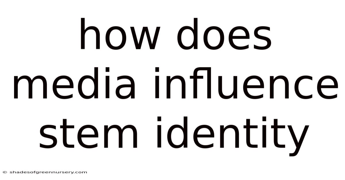 How Does Media Influence Stem Identity