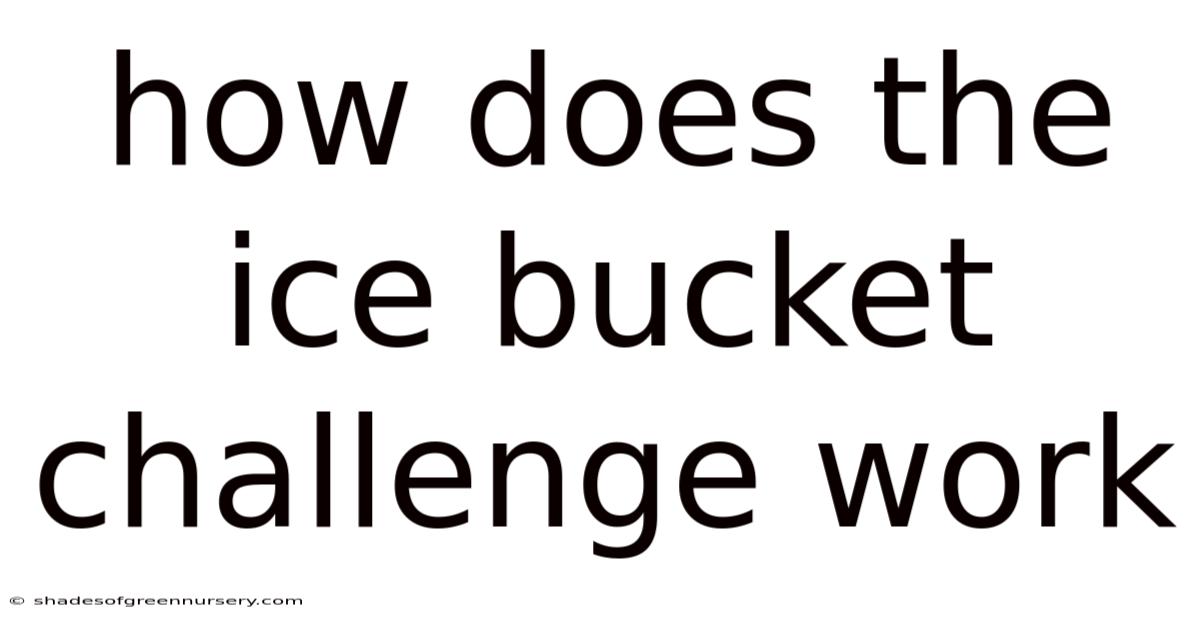How Does The Ice Bucket Challenge Work