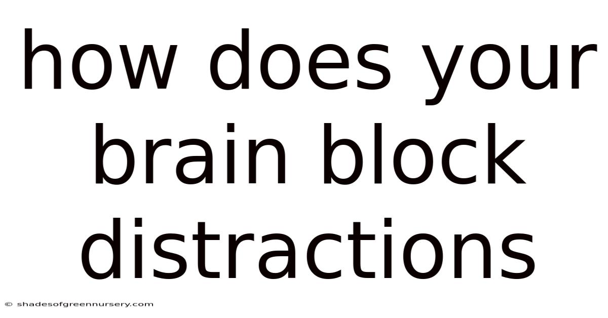 How Does Your Brain Block Distractions