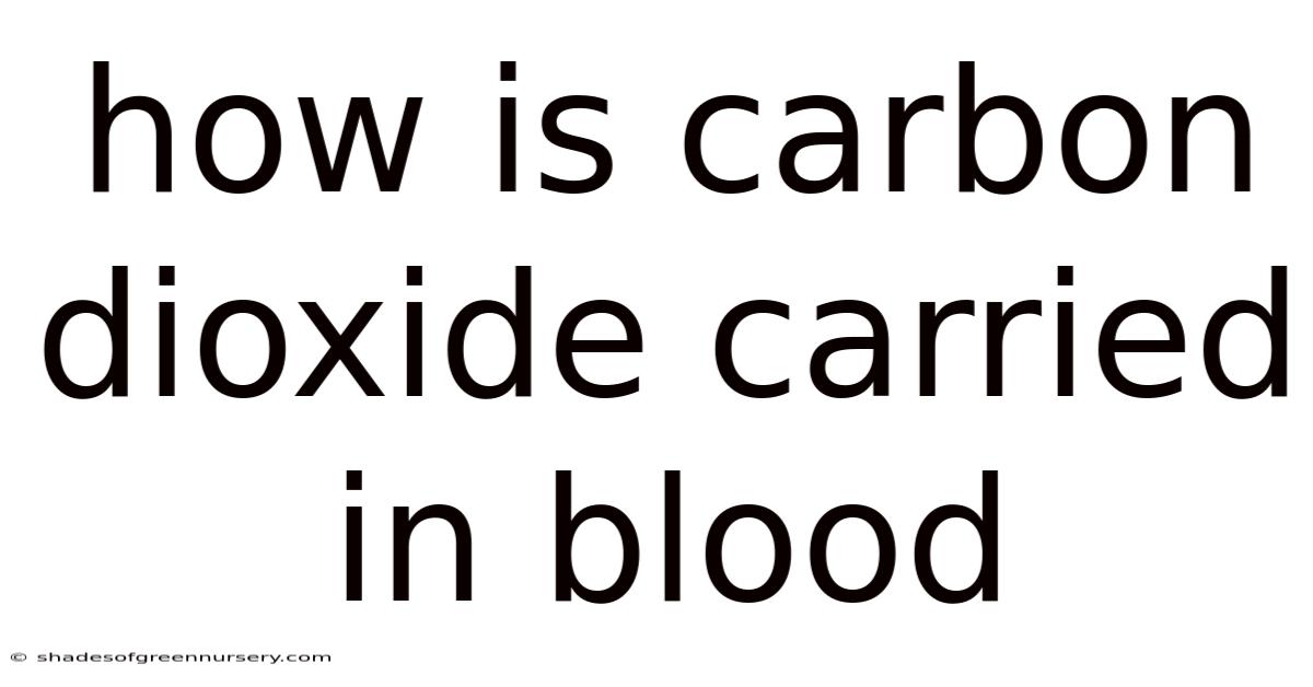 How Is Carbon Dioxide Carried In Blood