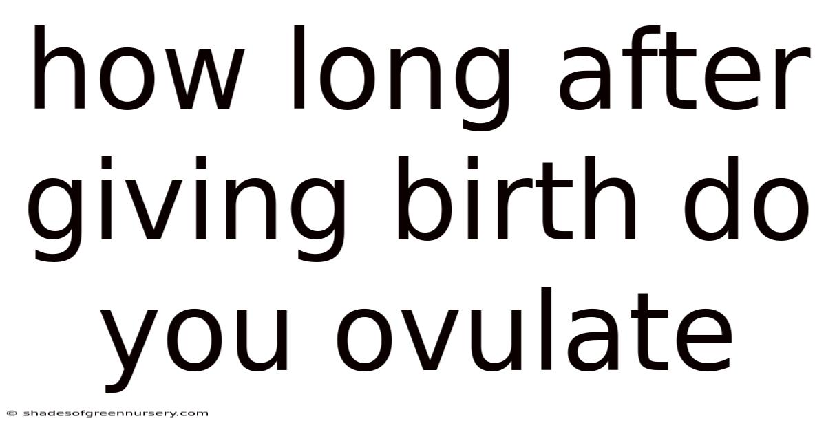How Long After Giving Birth Do You Ovulate
