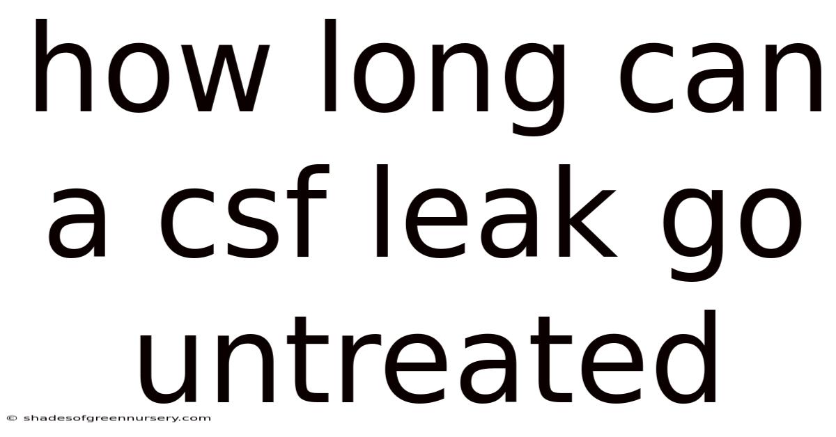 How Long Can A Csf Leak Go Untreated
