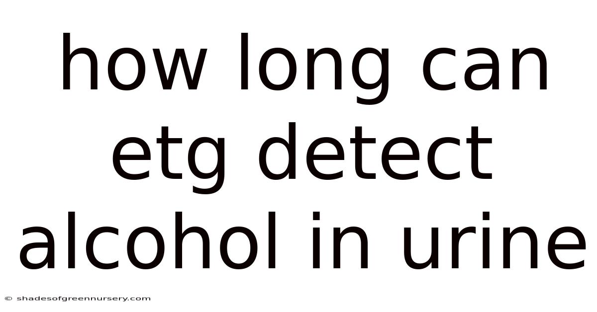 How Long Can Etg Detect Alcohol In Urine